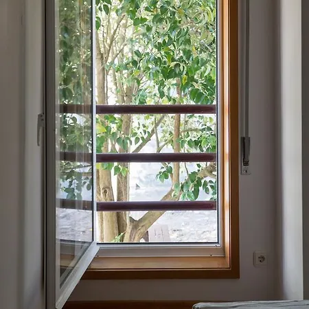 Apartment River View *